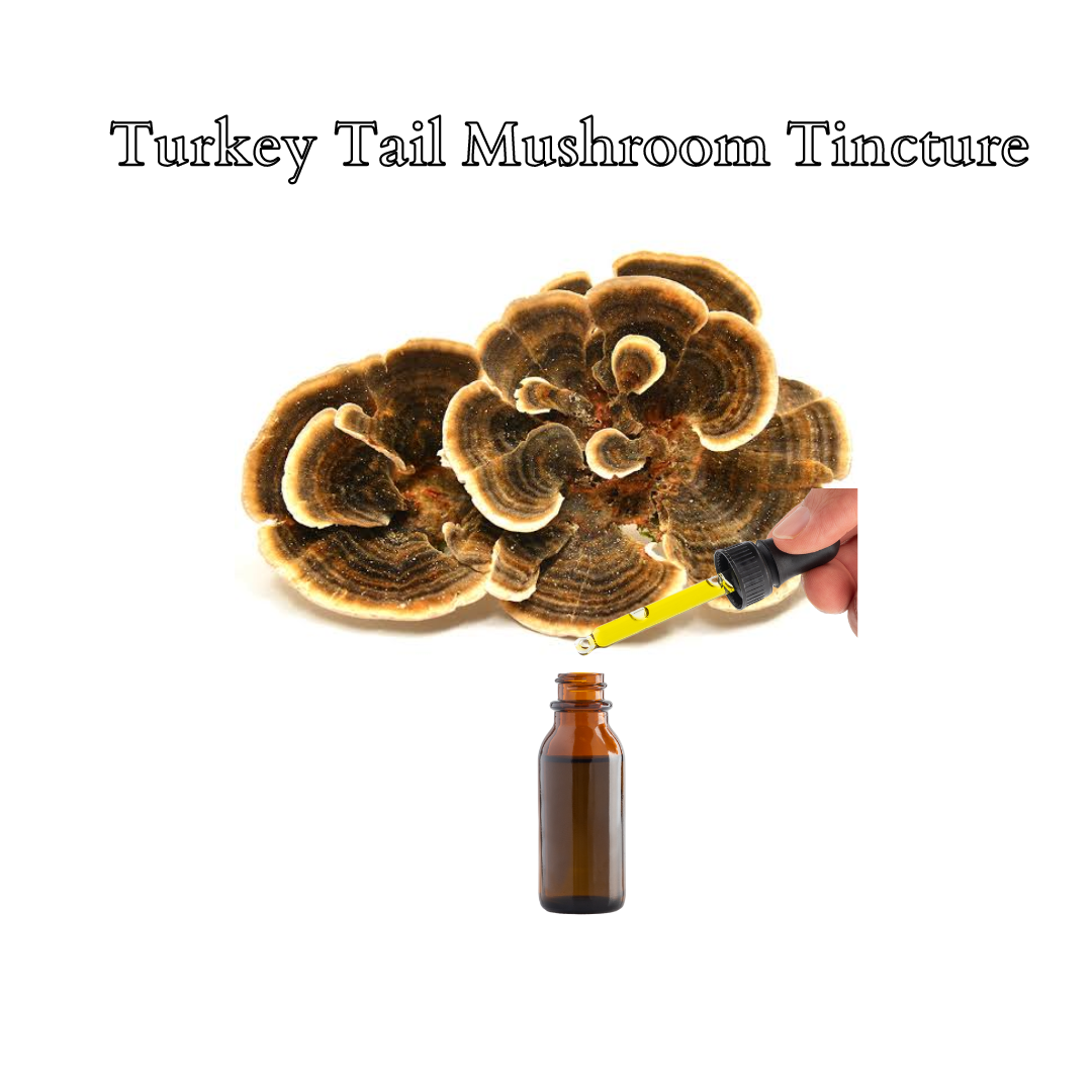 Turkey Tail Mushroom Extract Tincture 30ml (60 Servings) - Trametes versicolor