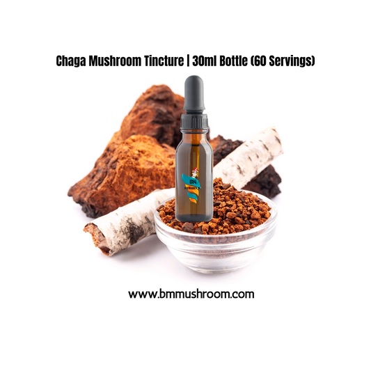 Chaga Mushroom Tincture | 30ml Bottle (60 Servings)