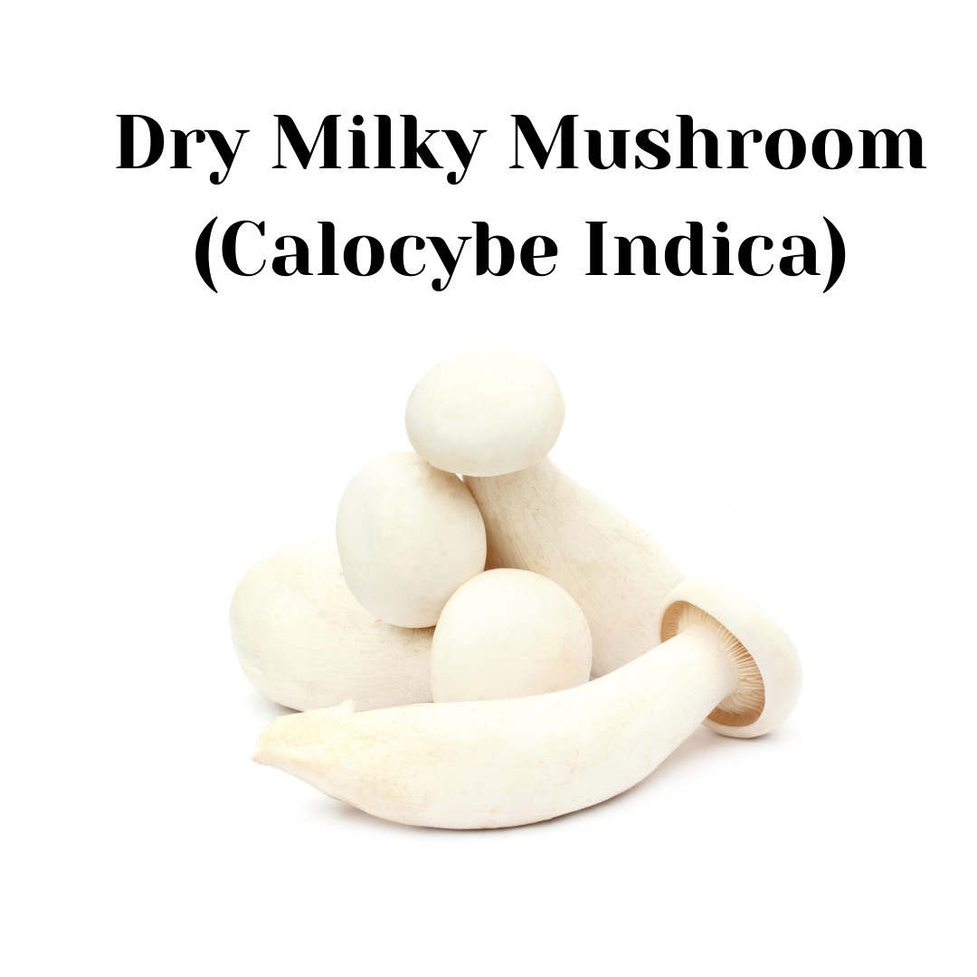 Dry Milky Mushroom (Calocybe Indica) - 50gm