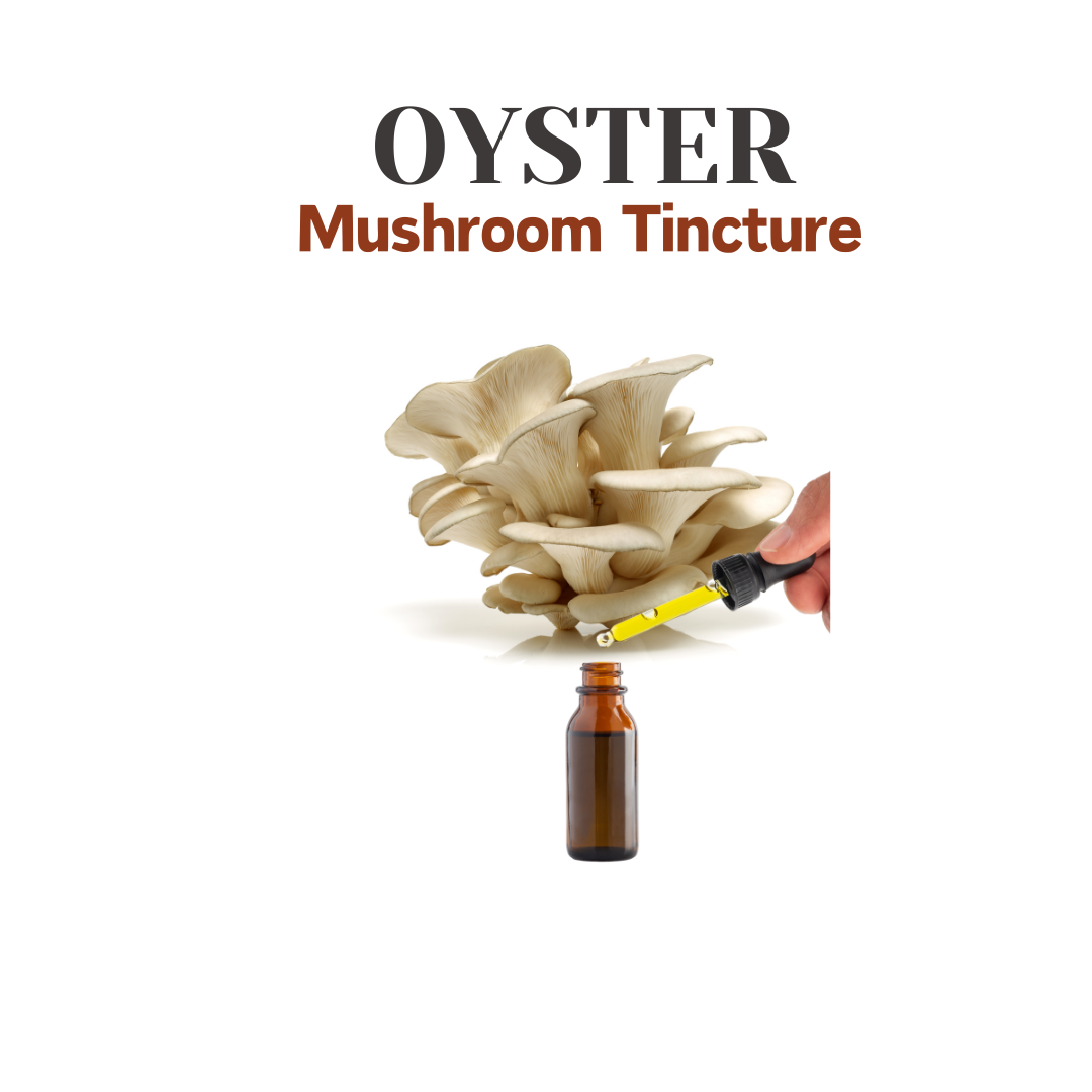 Oyster Mushroom Extract Tincture 30ml (60 Servings) - Pleurotus ostreatus