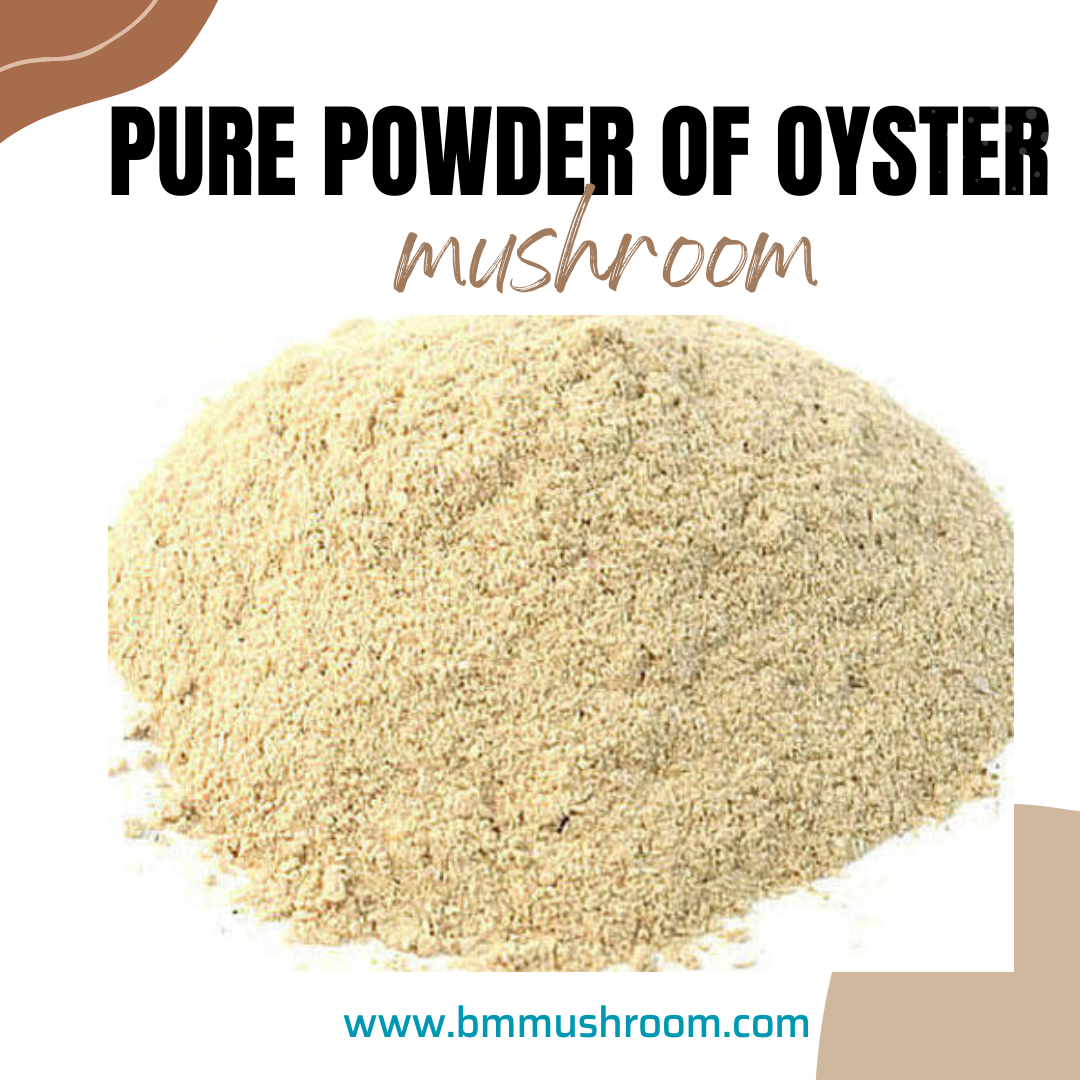 Oyster Mushroom Powder 100 gm – BM MUSHROOM ONLINE STORE